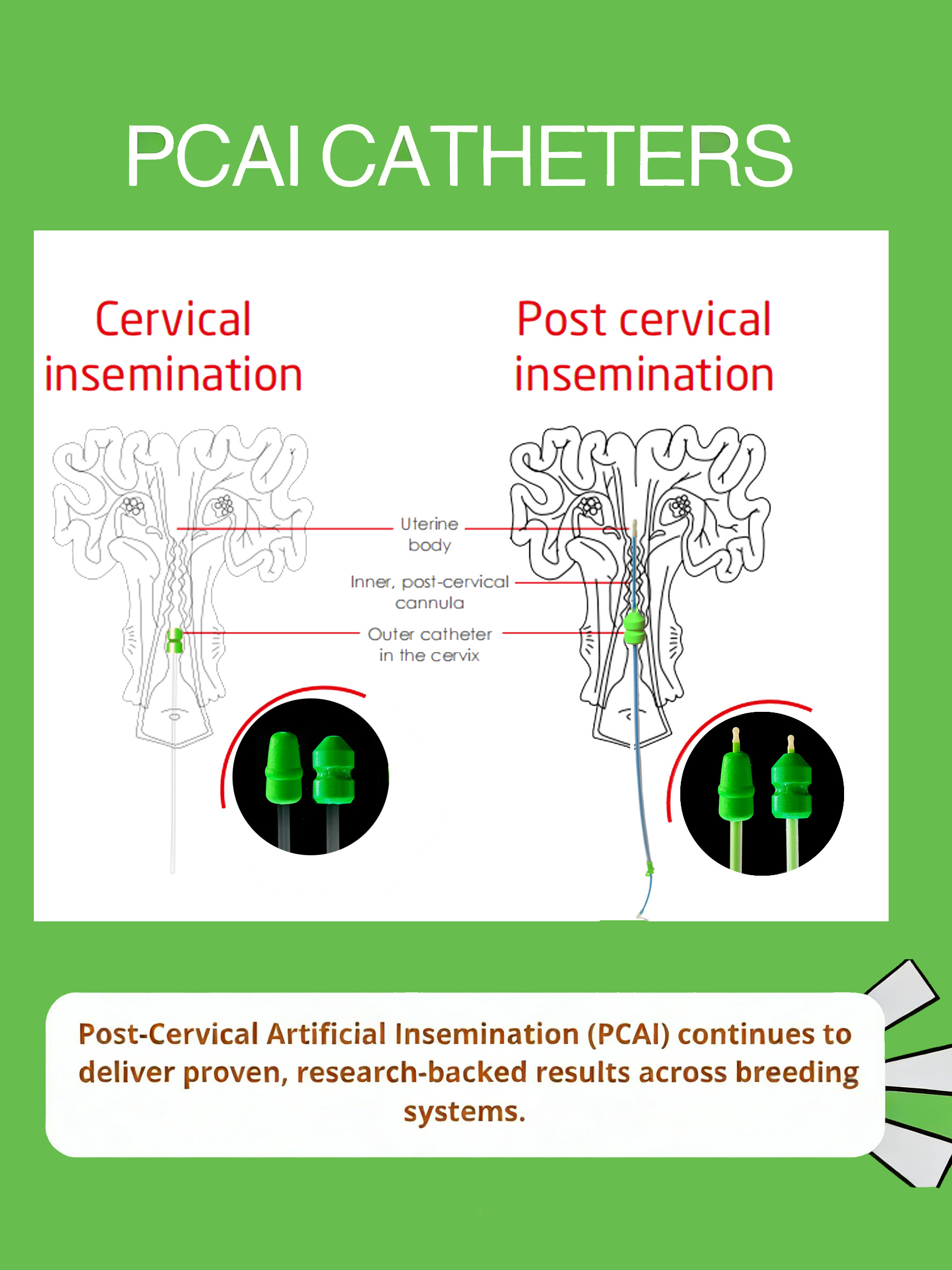 Proven Performance of PCAI in Swine Reproduction